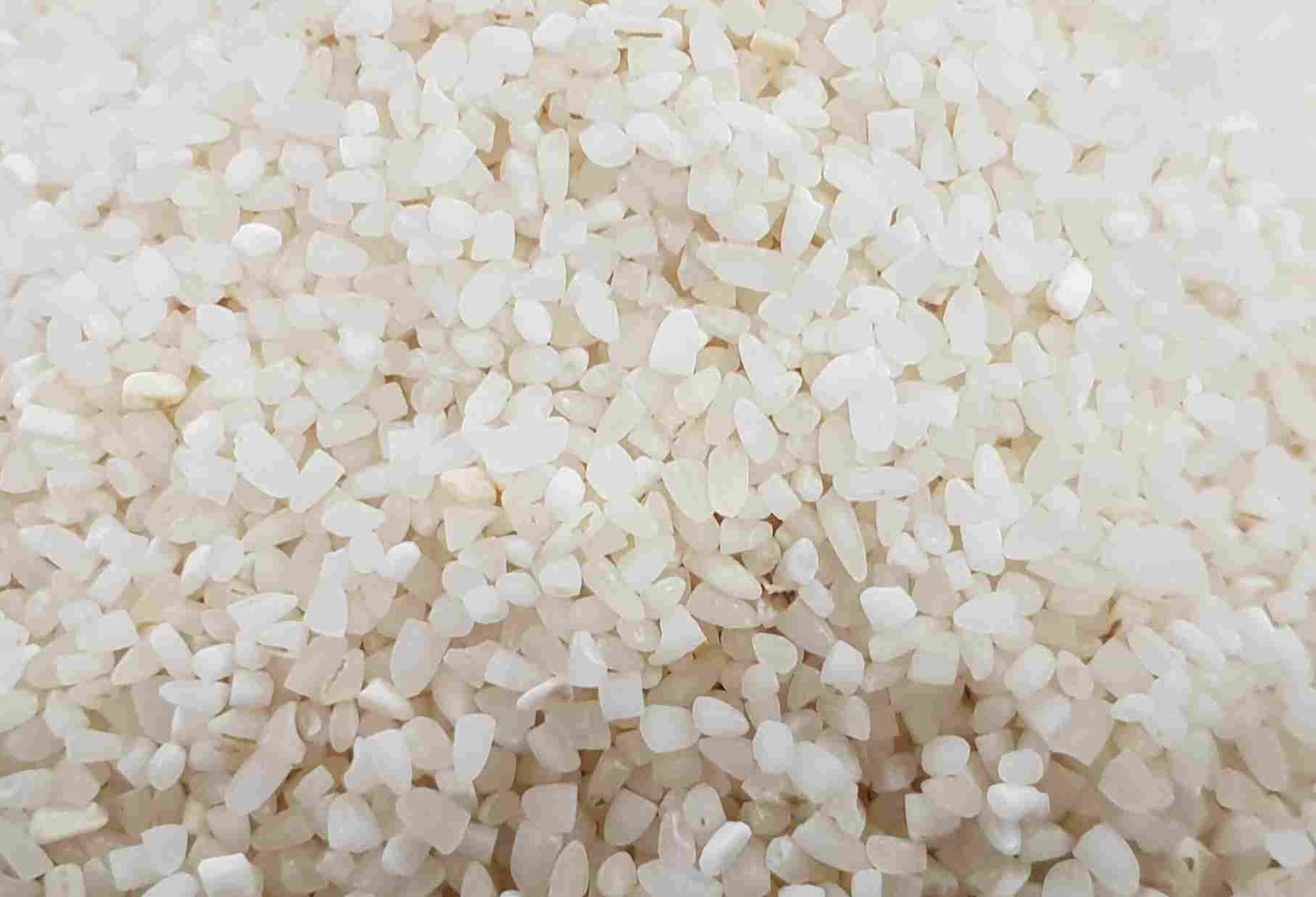 100% Broken Raw Rice