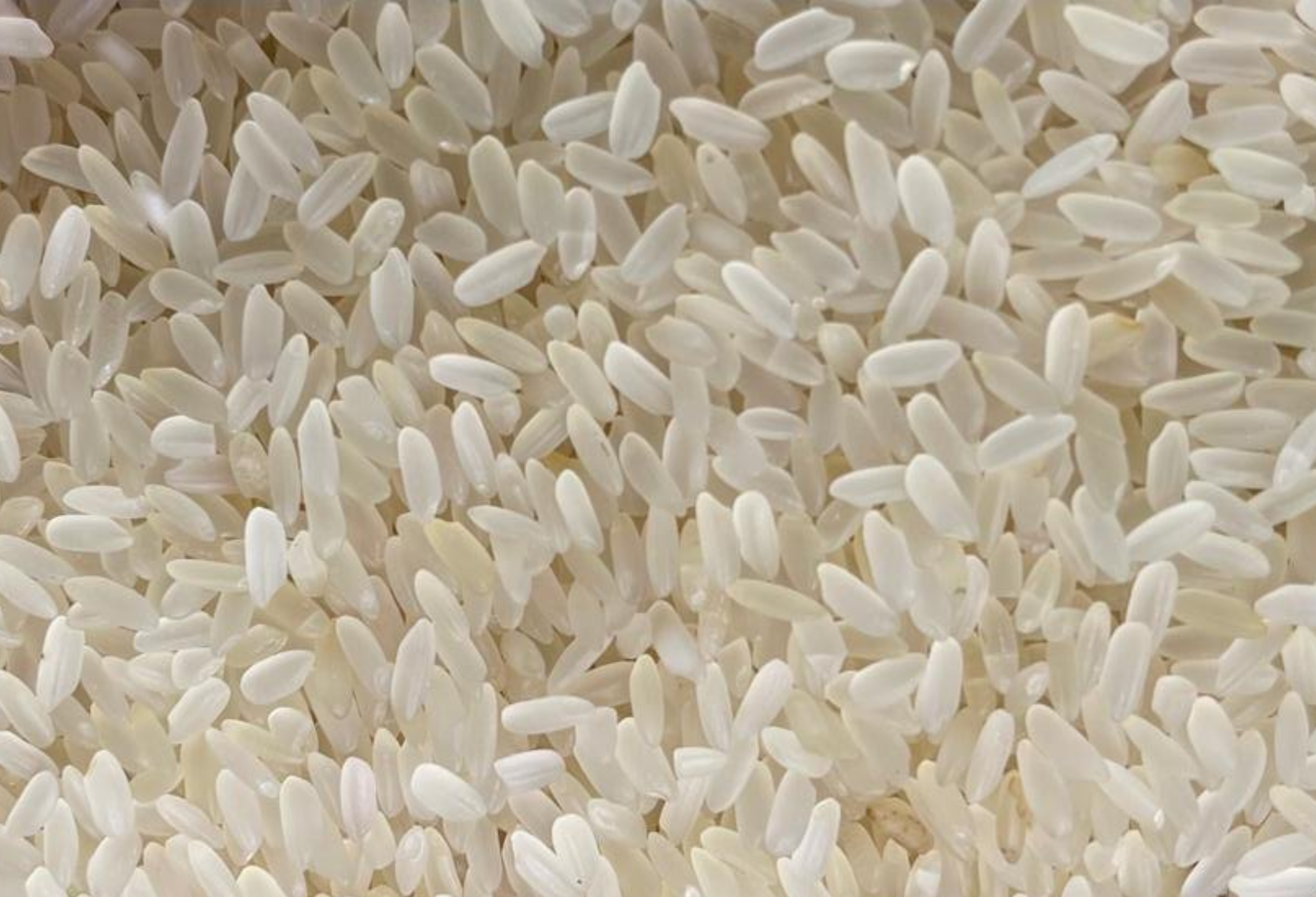 Common Parboiled Rice